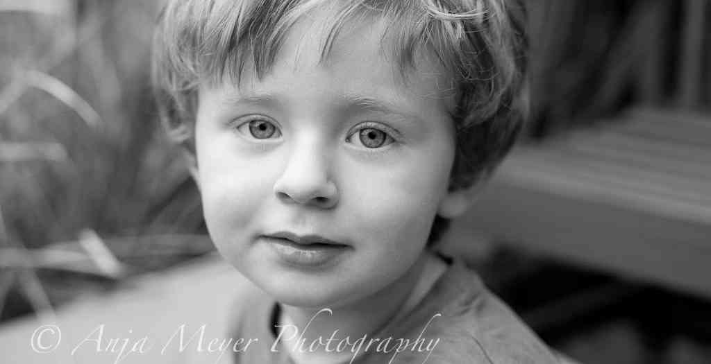 Charming Little Liebenbergs