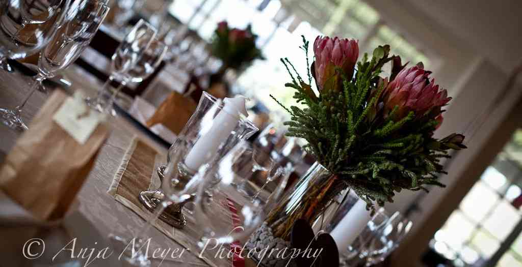 Michael & Nikki's Special Day at Intaba View